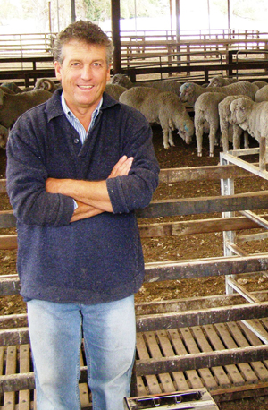 Bill Walker - merino sheep classing consultant